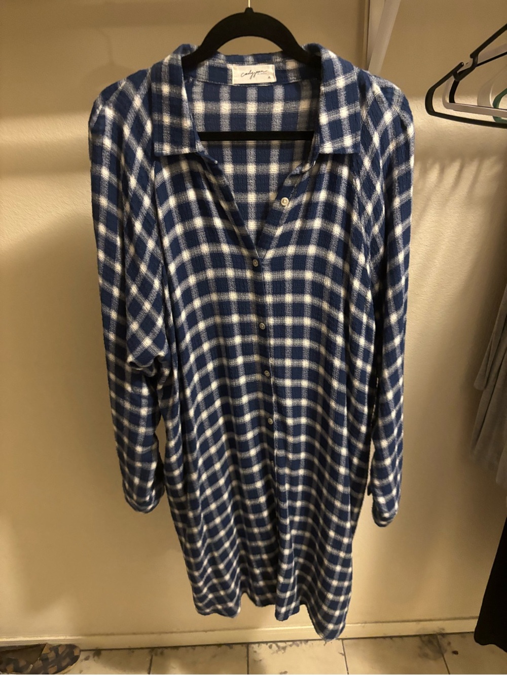 Carly Jean Los Angeles Blue and White Plaid Shirt Dress
